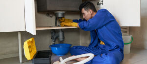 Holiday Plumbing Woes: 5 Tips to Keep Your Celebrations Flowing – Same Day Plumber MI